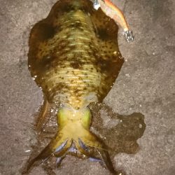 ラッキーな1杯。。