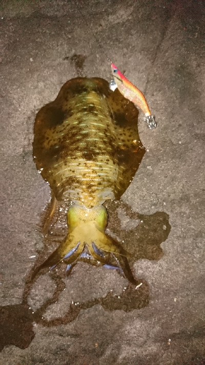 ラッキーな1杯。。