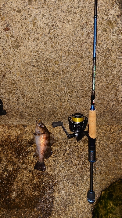 時合い短し‼️…