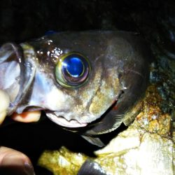 寒くなってきたよ