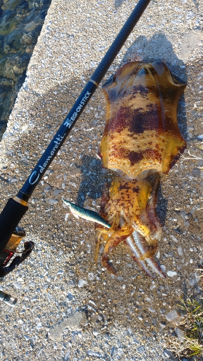 出張で出勤前にエキング