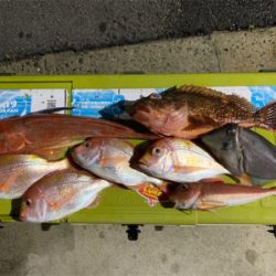 マイボートでタイラバ、ジギング、五目釣り