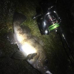 爆風メバリング