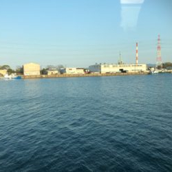 久しぶりのアジング