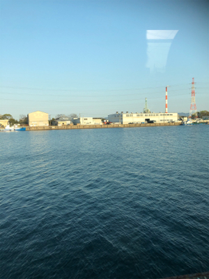 久しぶりのアジング