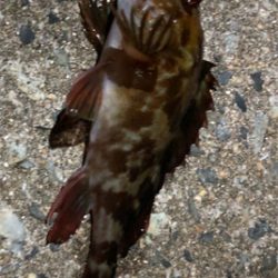 とある早朝のシャローエリア