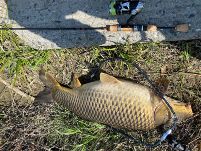 色々な事が自粛なので誰もいない川でカープフ…