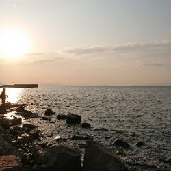 フロートアジング