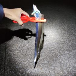 宮崎港で太刀魚釣り