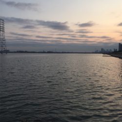 淀川ブリームゲーム