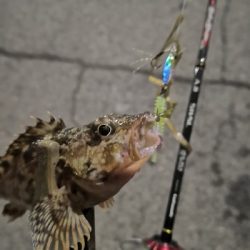 アジング 練習 134