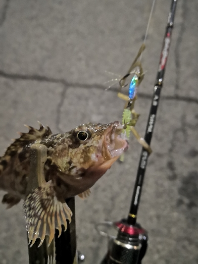 アジング 練習 134