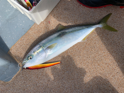 丹後沖ジギング