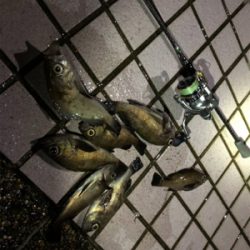 携帯水没後の徹メバリング