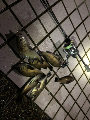 携帯水没後の徹メバリング