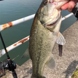 兵庫で初バス☆GUNNING-STYLE