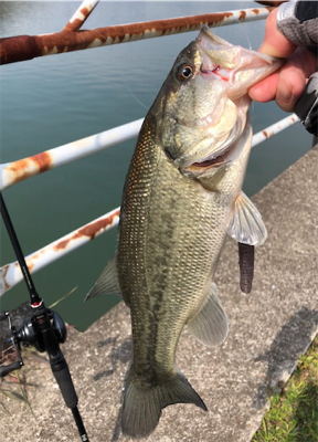 兵庫で初バス☆GUNNING-STYLE