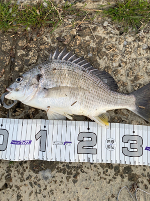 良い季節になってきました