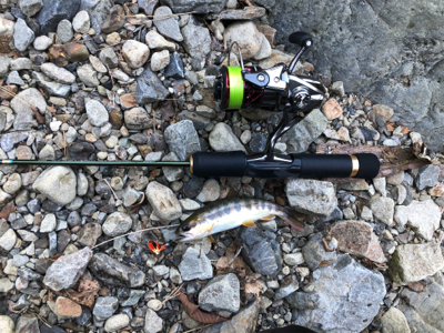 今回もボチボチ