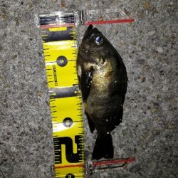 スーパームーン