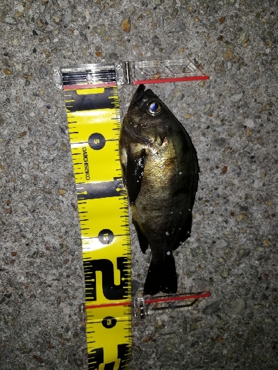 スーパームーン