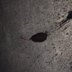 スーパームーンに期待して