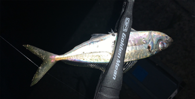 スーパームーン