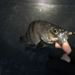 ちょっとスレ気味？