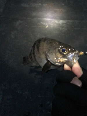 ちょっとスレ気味？