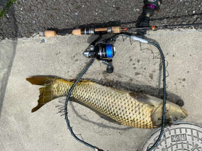 外出自粛中なので誰もいない野池へお散歩釣行…