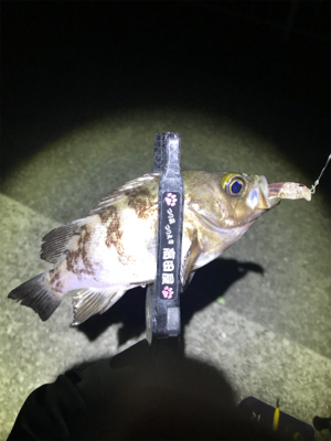 プラグ、フロートメバリング