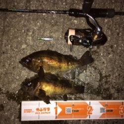 メバリング楽しいです