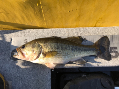 午前中ボート釣行！