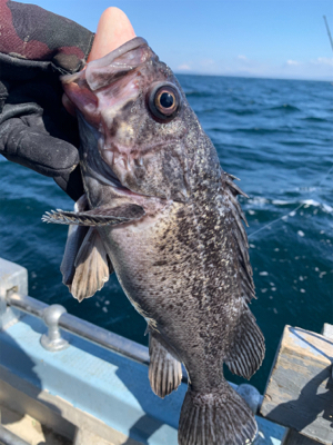 オフショアロック熱いです！