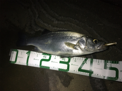 スローーーで食わす