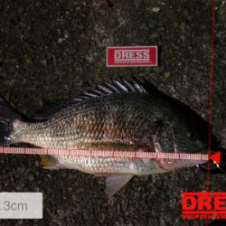 やはり雨上がり