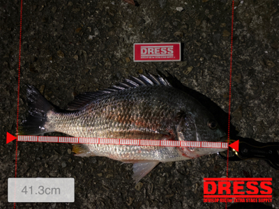 やはり雨上がり