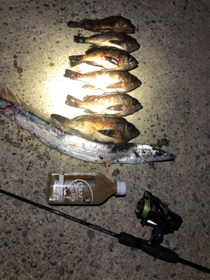 ハイプレッシャーポイント