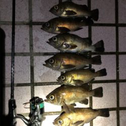 母の誕生日プレゼント