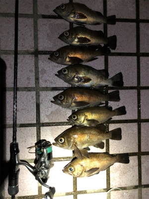 母の誕生日プレゼント