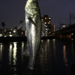 干潮でダメかと思いましたが