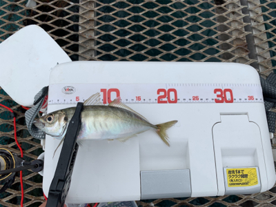 今年はダメダメ釣行