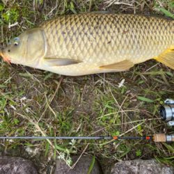 誰もいない野池で見えバス探し