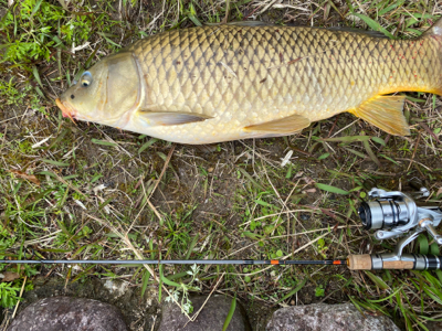 誰もいない野池で見えバス探し
