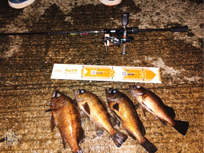 爆風ですがメバプラいけます