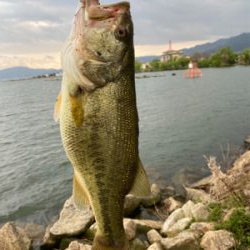 おばけワンド裏