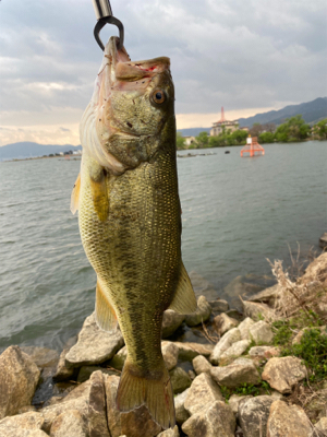 おばけワンド裏