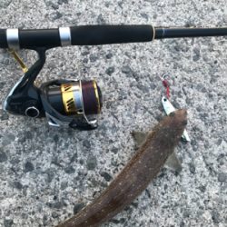 ルアーマンがいっぱい！