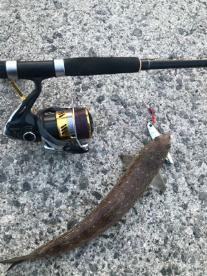 ルアーマンがいっぱい！