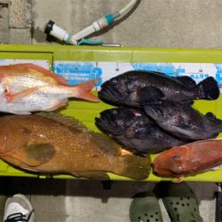 マイボートで1人タイラバ釣行